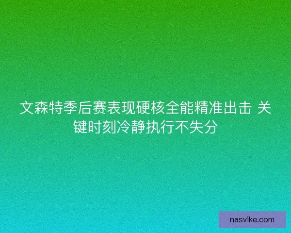 文森特季后赛表现硬核全能精准出击 关键时刻冷静执行不失分