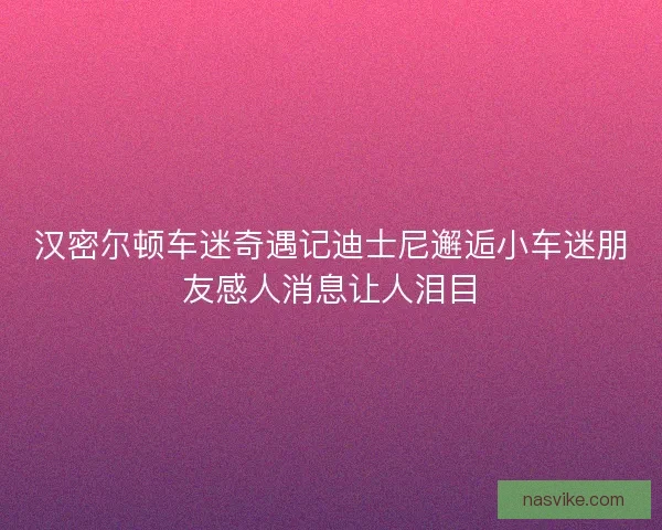 汉密尔顿车迷奇遇记迪士尼邂逅小车迷朋友感人消息让人泪目 汉密尔顿车迷奇遇记迪士尼邂逅小车迷朋友感人消息让人泪目
